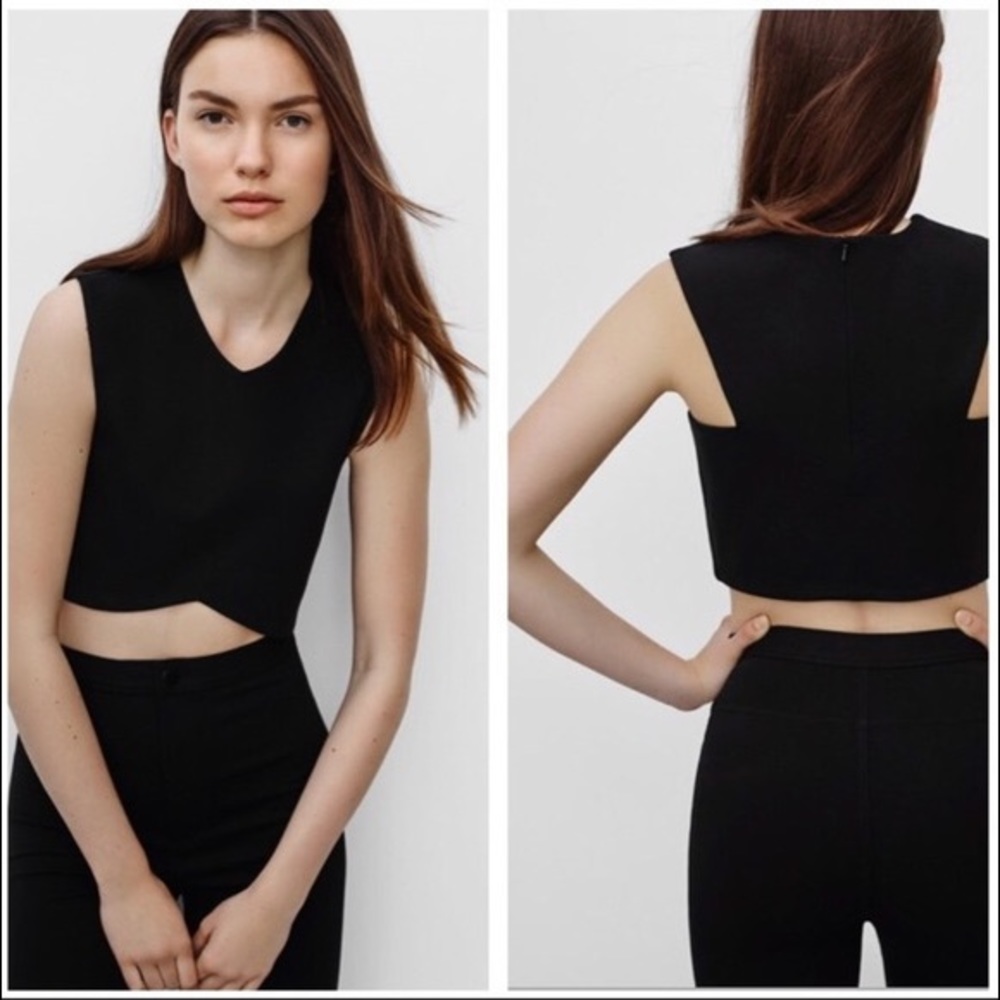 Aritzia Manzanita Crop Top